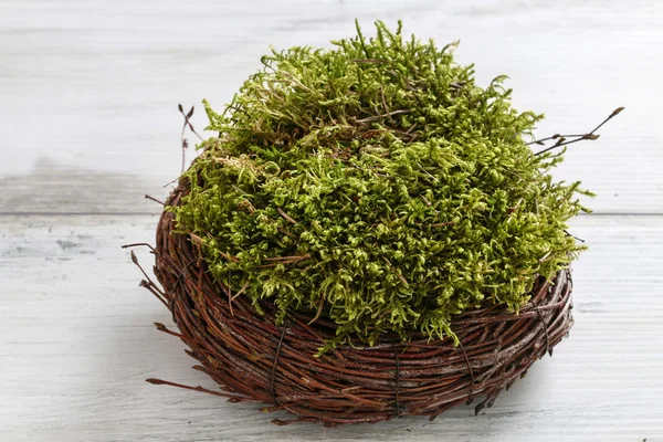 Florist at work: How to make wreath with moss. tutorial. Stock Photo
