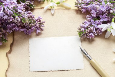 Leylak ve kardelen anemon çiçekleri (Anemone sylvestris) vint