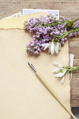 Leylak ve kardelen anemon çiçekleri (Anemone sylvestris) vint