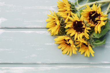 Nane ahşap arka plan ayçiçeği