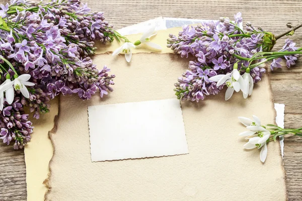 Lilacs e flores de anêmona de neve (Anemone sylvestris) em vint — Fotografia de Stock