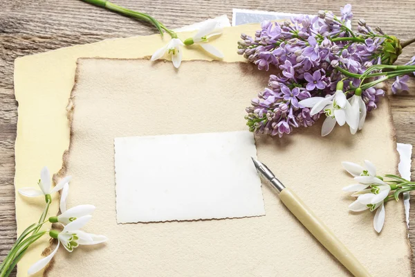 Leylak ve kardelen anemon çiçekleri (Anemone sylvestris) vint