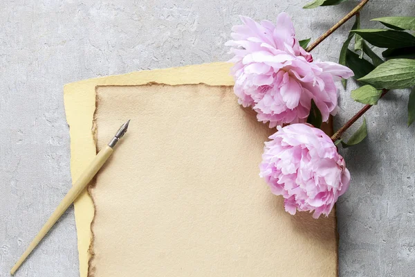 Lettere manoscritte e peonie rosa su sfondo grigio — Foto Stock