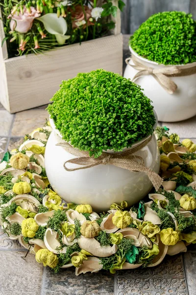 Florale Tischdekoration mit Selaginella-Pflanze im Keramiktopf. — Stockfoto