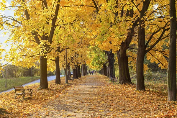 Kraków, Polska - 11 listopada 2014: Planty - park miejski — Zdjęcie stockowe