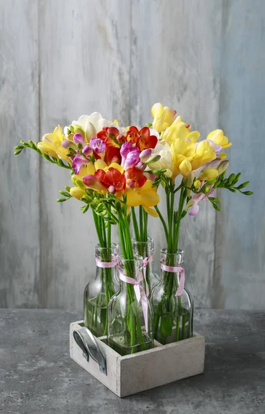 Bunte Freesia-Blumen auf grauem Hintergrund — Stockfoto