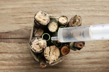 İş yerinde çiçekçi: Bahar masa dekorasyonu sopayla yapma kadın