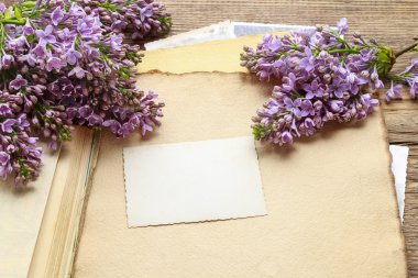 Leylak ve Frezya vintage kağıt arka plan üzerinde