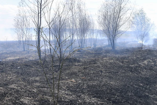 Tierra quemada después del fuego — Foto de Stock