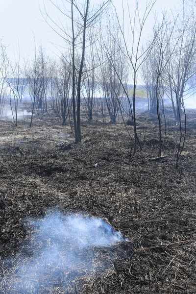 Tierra quemada después del fuego — Foto de Stock