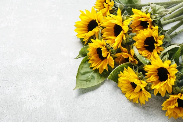 Sunflowers on a gray stone background — Stock Photo, Image
