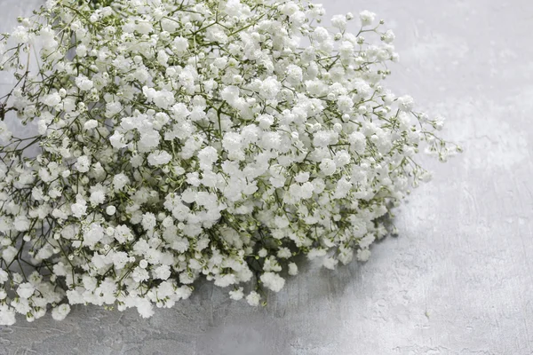 Fond avec de minuscules fleurs blanches (gypsophila paniculata), flou — Photo