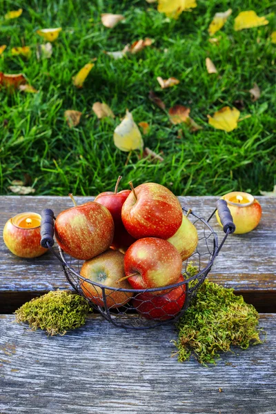 Basket of apples in the garden — Stock Photo, Image