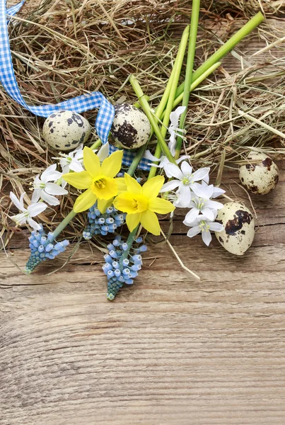Bahar çiçek, bıldırcın yumurtası ve saman ile Paskalya süsleri — Stok fotoğraf
