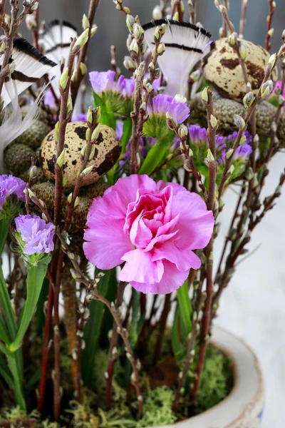 Floral regeling met anjers en katjes — Stockfoto