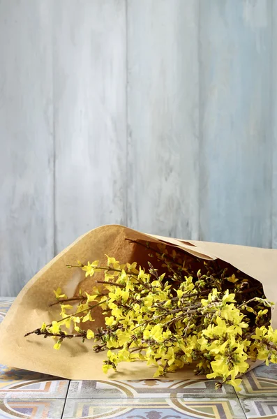 Bund Forsythienblüten in Papierverpackung — Stockfoto