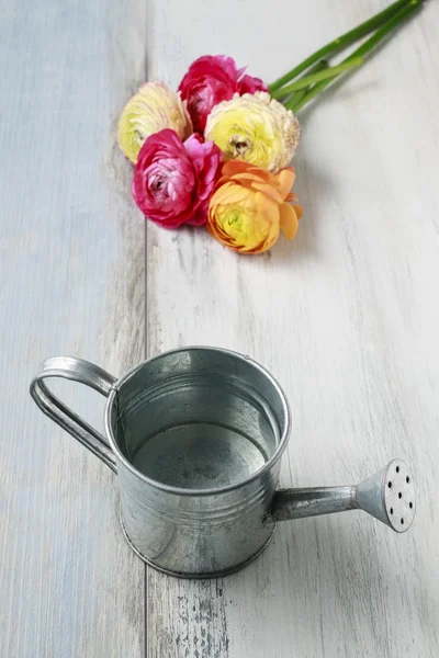 Silberne Gießkanne und Hahnenfußblumen — Stockfoto