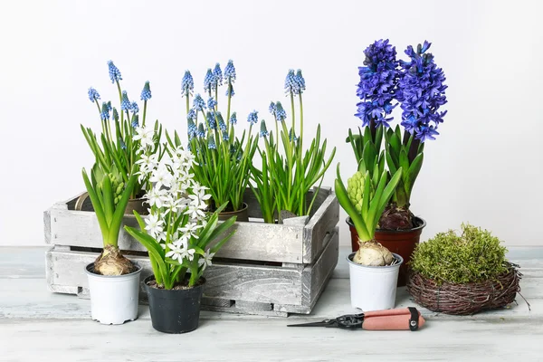 Lentebloemen op houten tafel — Stockfoto