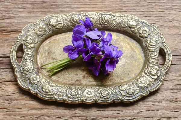 Bukett lila blommor (viola odorata) — Stockfoto