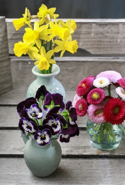 Ramo de flores en jarrón de cerámica, ramo de margaritas rojas —  Fotos de Stock