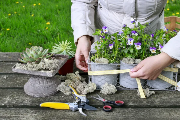 Kvinnan ordna blommorna i trädgården. — Stockfoto