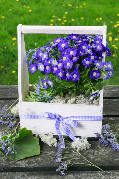 Schachtel mit violetten Gänseblümchen. — Stockfoto