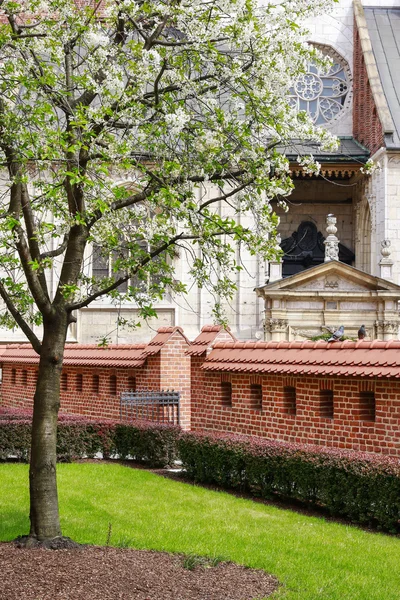 KRAKOW, POLAND - APRIL 17, 2016: Royal gardens at the Wawel Cast — Stock Photo, Image