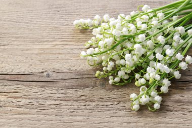 Vadi çiçekleri zambağı