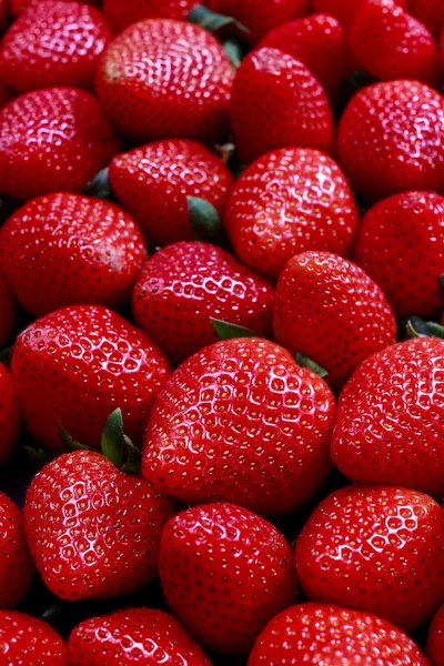 Fraise fruits fond — Photo