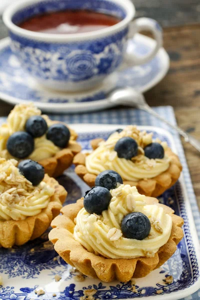 Cupcakes with vanilla cream and blueberries — Stock Photo, Image