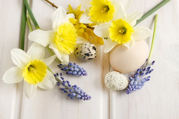 Våren blommor: Narciss och muscari — Stockfoto