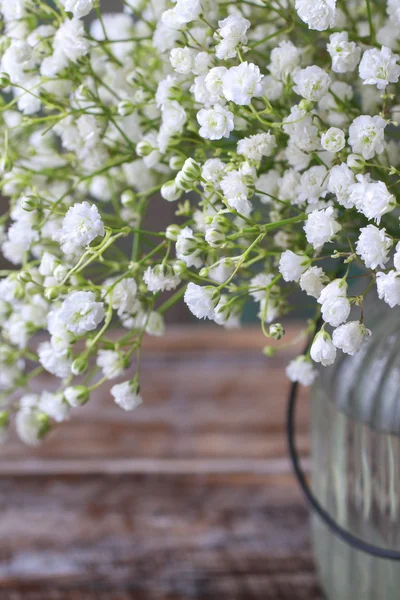 Respiração do bebê (gypsophila paniculata ) — Fotografia de Stock