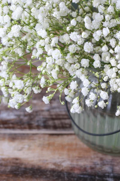 Atem des Babys (gypsophila paniculata)) — Stockfoto