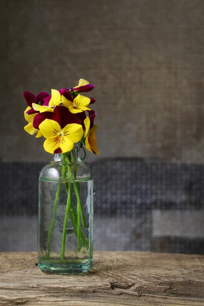 Bouquet of pansy flowers in glass vase. — Stock Photo, Image