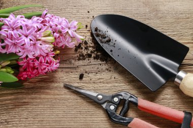 Sümbül çiçek ve ahşap Bahçe aksesuarları