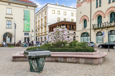 Krakow, Polonya - 17 Nisan 2016: Manolya çiçeği şehir ce