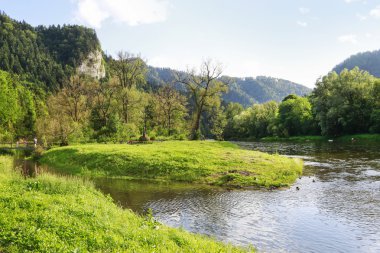 Bialka Nehri Tatra Dağları, Malopolska, Polonya.