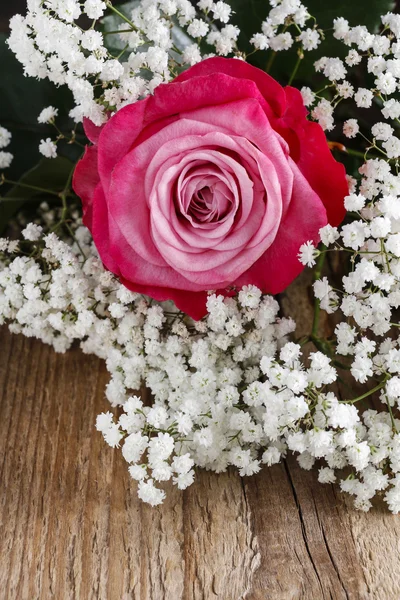 Piękny różowy róż i gipsówki paniculata (Baby's breath flo — Zdjęcie stockowe