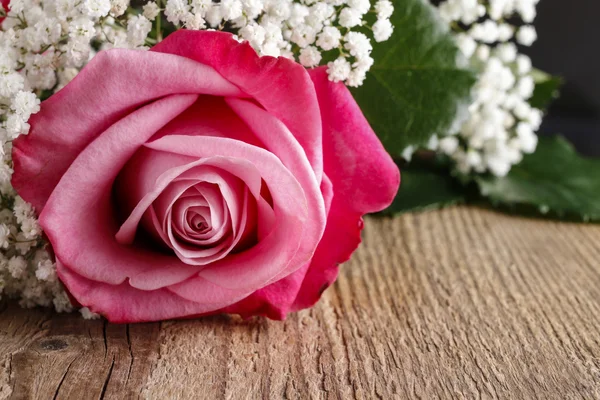 Wunderschöne rosa Rose und Gipsophila paniculata (Baby 's-breath flo — Stockfoto