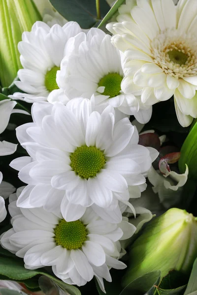 Floral background with white gerbera flowers, chrysanthemums and — Stock Photo, Image
