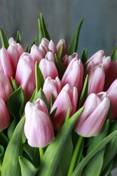 Strauß rosa Tulpen — Stockfoto