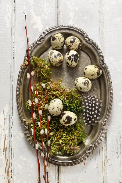 ウズラ卵の装飾 — ストック写真