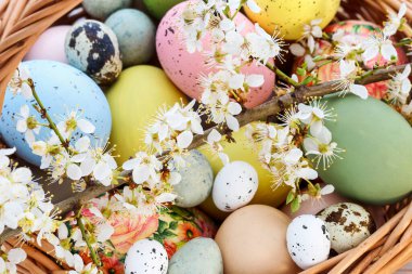 Paskalya yumurtası ve kiraz çiçeği dalıyla dolu sepet. Şenlik Dekoru