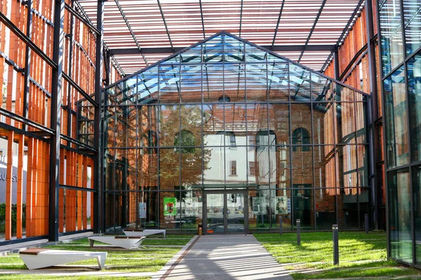 Jardin Art Bibliothèque Publique Galerie Sur Rue Rajska Cracovie Pologne — Photo