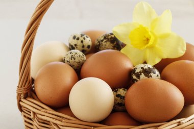 Bahar çiçekleriyle süslenmiş yumurta dolu bir sepet. Paskalya zamanı