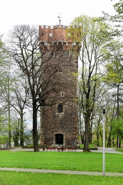 Torre Gótica Colina Del Castillo Cieszyn Polonia —  Fotos de Stock