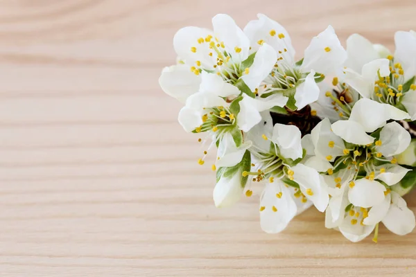 Blooming Branch Cherry Tree Wooden Background Copy Space — Stock Photo, Image