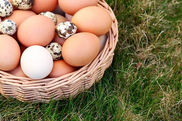 Wicker Basket Full Eggs Decorated Spring Flowers Festive Time — Stock Photo, Image