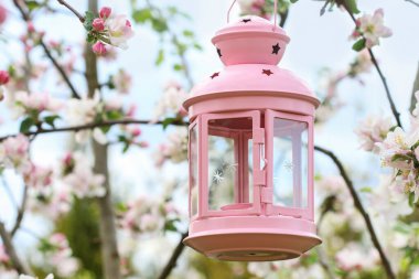 Bahçedeki çiçek açan bir elma dalında güzel pembe bir fener asılı. Açık hava parti dekorasyonu.