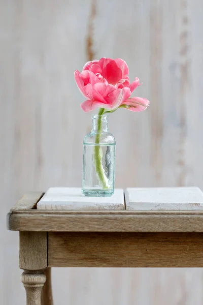シングルピンクのチューリップとシンプルでミニマルなテーブル装飾 ホーム装飾 — ストック写真